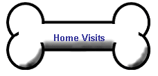 Home Visits